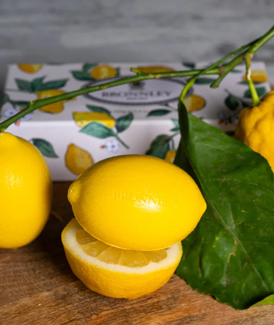 LEMON SELECTION SET