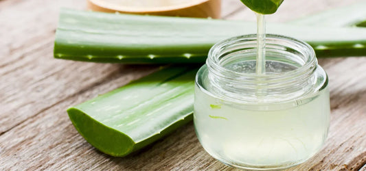 Aloe Vera Saft – innerliche und äußerliche Anwendung für Gesundheit und Haut