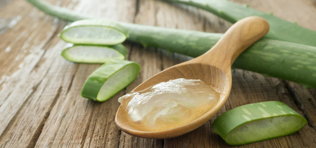 Aloe Vera Gel: Seine Wirkung und Anwendung