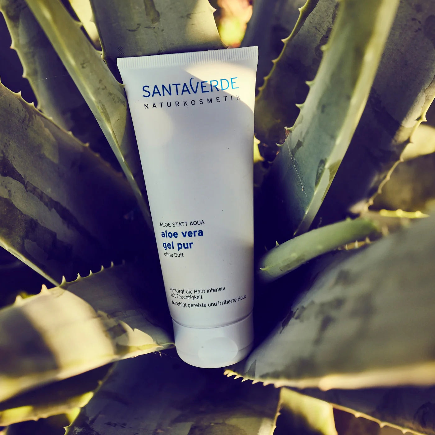 德國 Santaverde ｜aloe vera gel pur 100ml