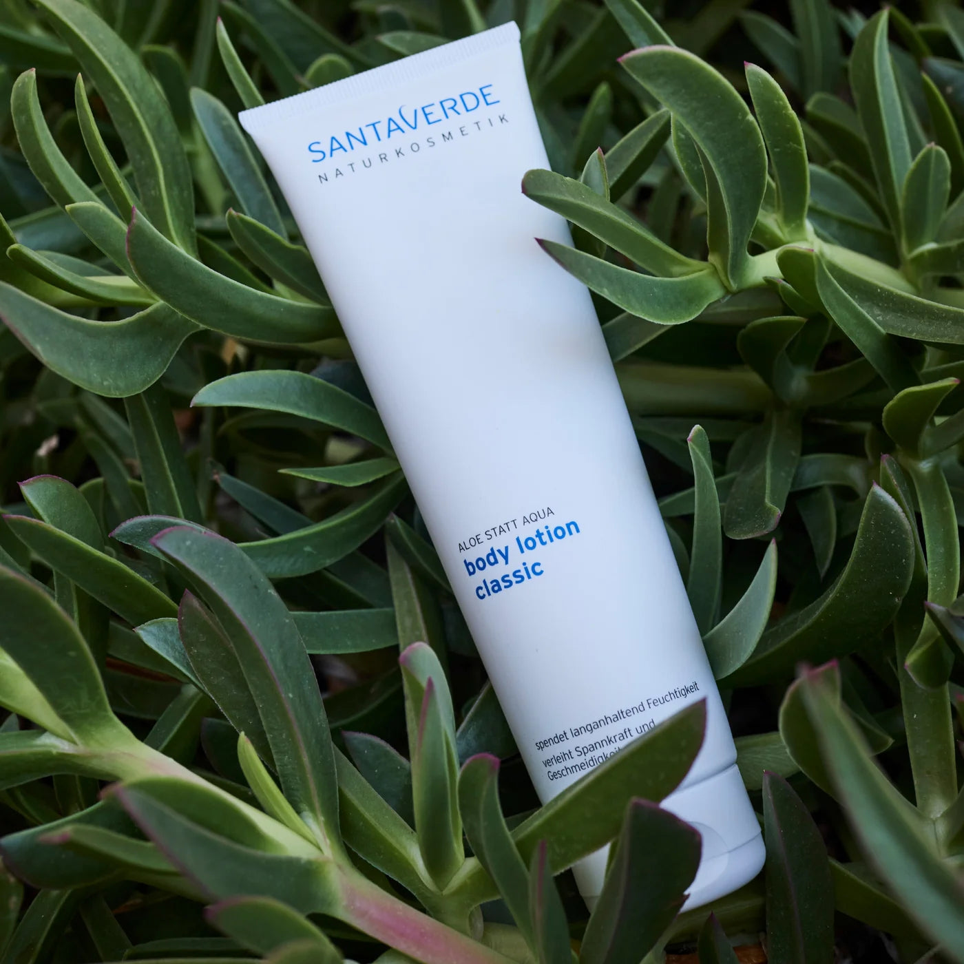 德國 Santaverde｜body lotion classic