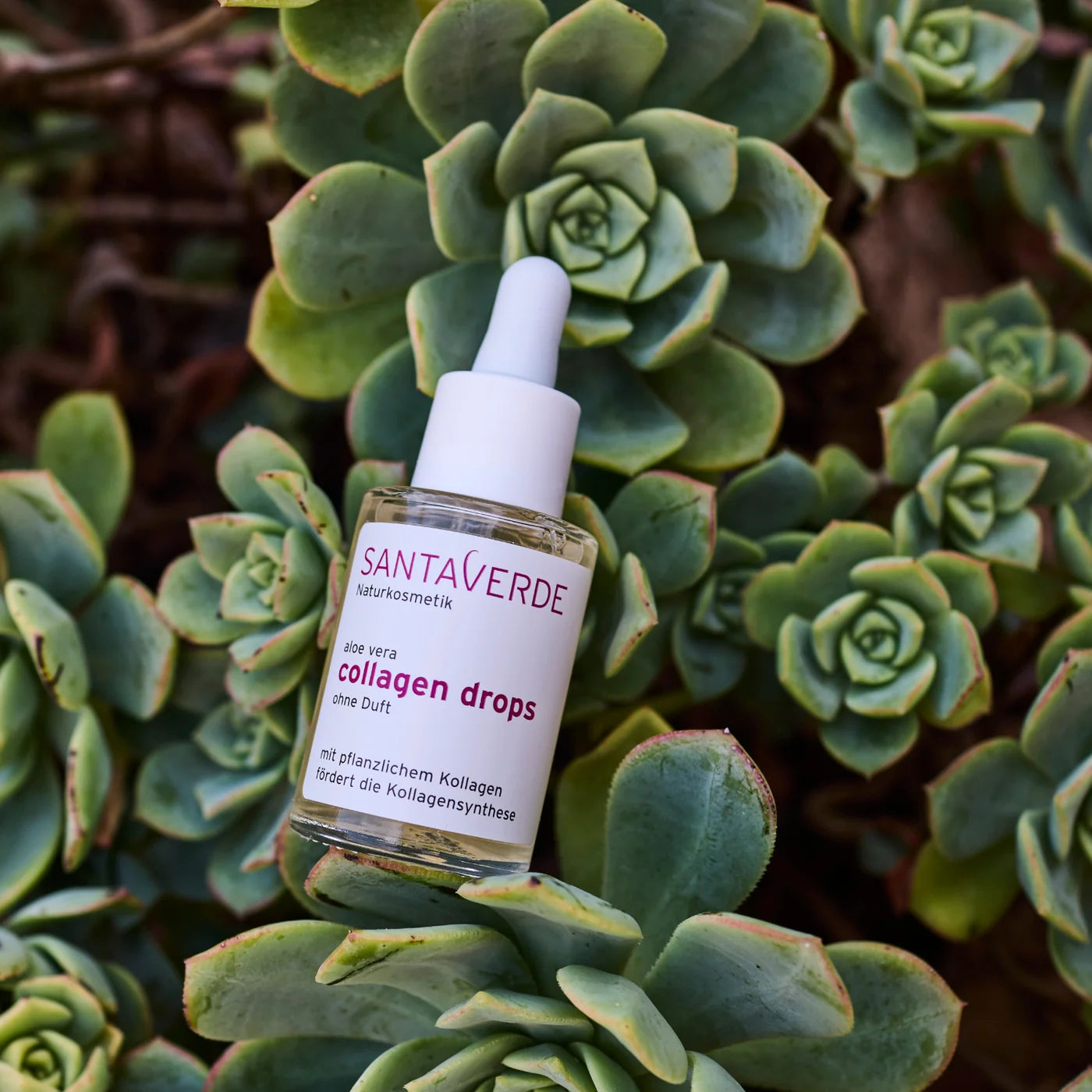 德國 Santaverde 膠原蛋白滴劑｜collagen drops